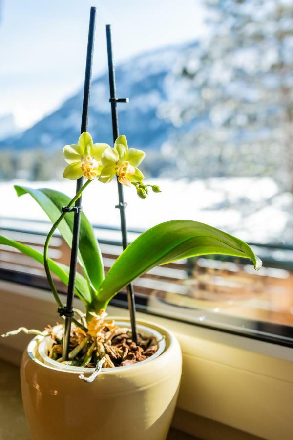 Stilecht Elbigenalp